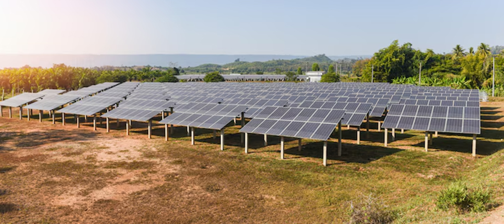 Solar Farms: Powering Philippine Agriculture